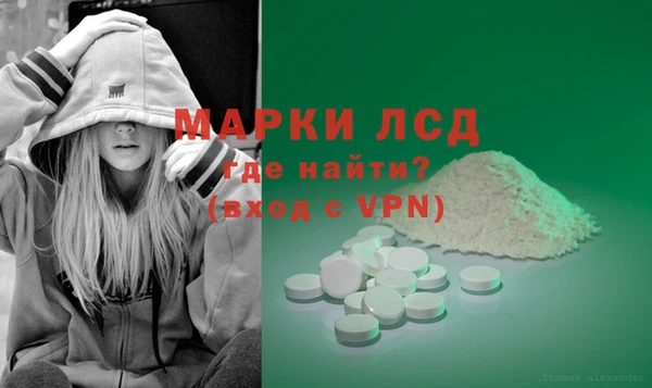 эйфоретик Аркадак