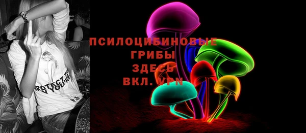 эйфоретик Аркадак