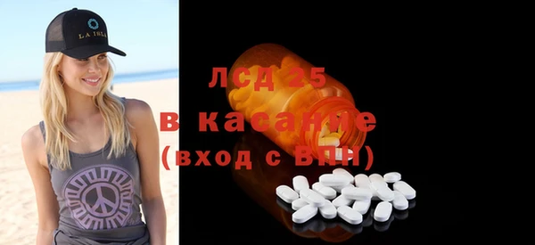 эйфоретик Аркадак